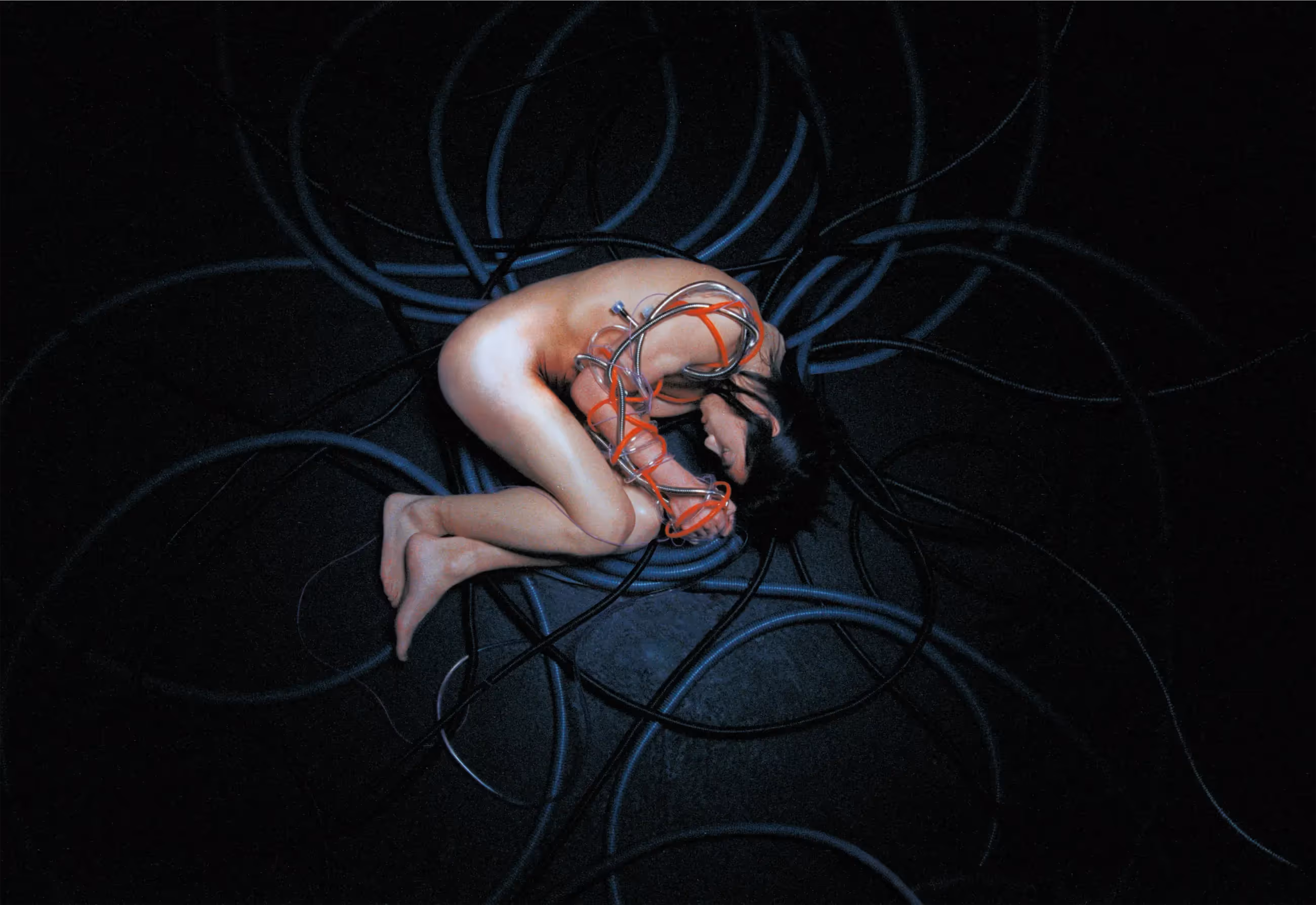 Resurgence - gallery image 9